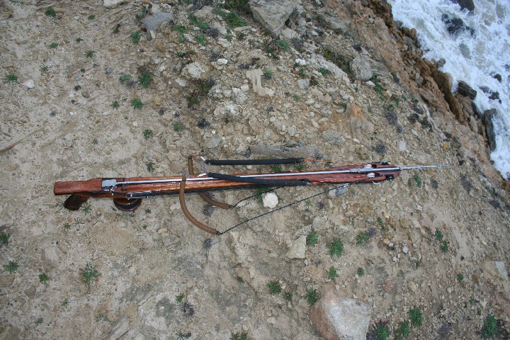 rollergun IDDU II