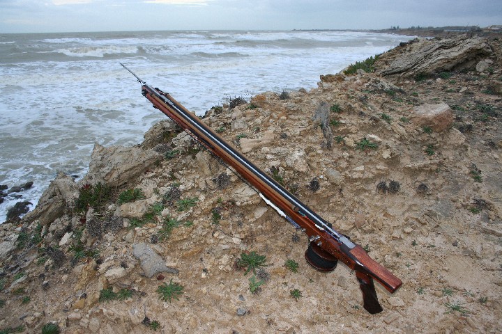 rollergun IDDU II