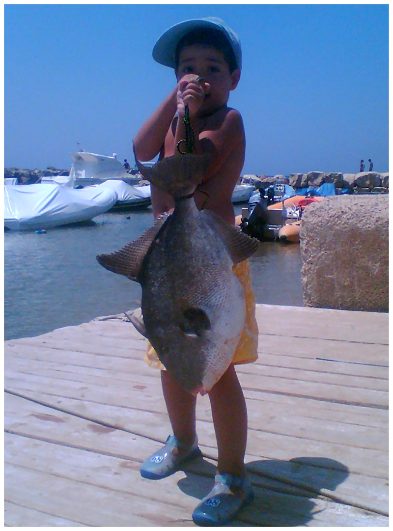 Pesce porco - 20 luglio 2006