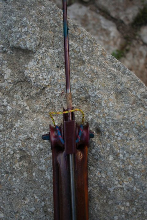 rollergun mimetic