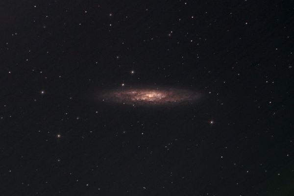 galassia-scultore4252F063-9DF5-B980-561F-BC1664817AEF.jpg